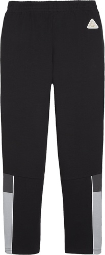 PUMA-Puma Bvb Dortmund Ftbl Archive Training Pants-1