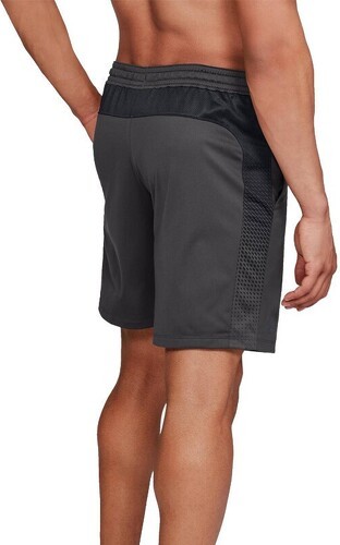 UNDER ARMOUR-Under Armour HeatGear Raid 2.0 Novelty - Short de fitness-2