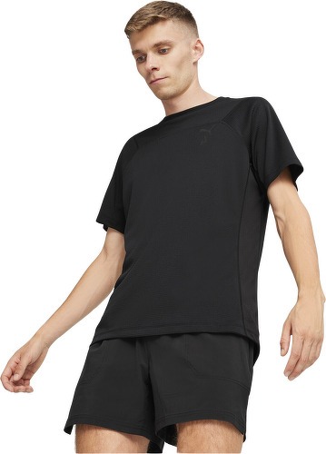 PUMA-T-shirt SEASONS Homme-2