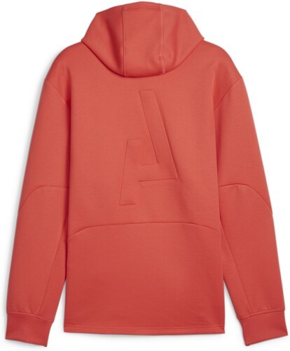 PUMA-Hoodie SEASONS Homme-1