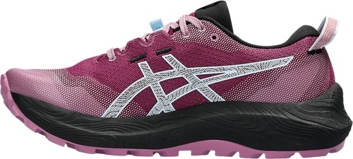 ASICS-Gel-Trabuco 12-2