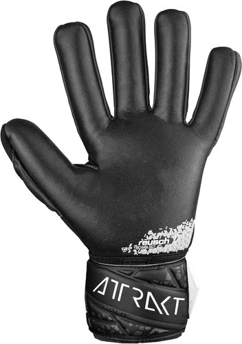 REUSCH-Attrakt Nc Tw-Handschuhe-2