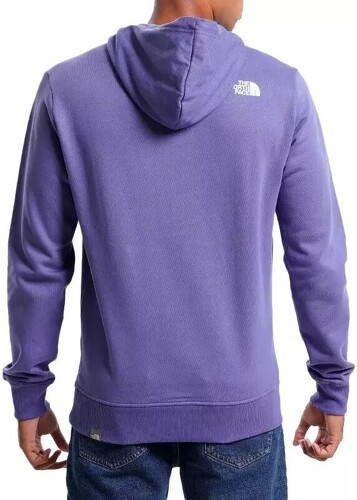 THE NORTH FACE-M Standard Hoodie-2