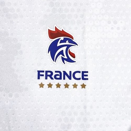 adidas Performance-Maglia Home Ufficiale Équipe De France-1