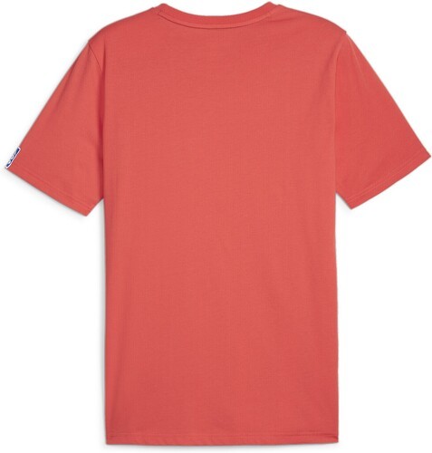 PUMA-T-shirt de handball-1