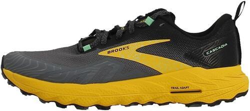 Brooks-Brooks Cascadia 17-3