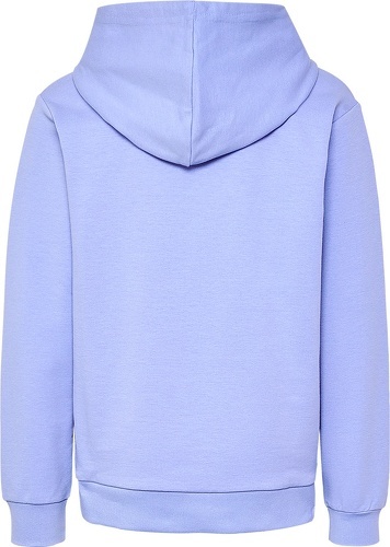 HUMMEL-hmlCUATRO CIRCLE HOODIE-1