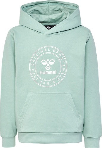 HUMMEL-hmlCUATRO CIRCLE HOODIE-2