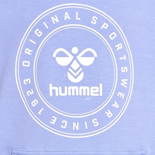 HUMMEL-hmlCUATRO CIRCLE HOODIE-3