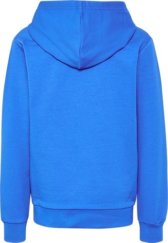 HUMMEL-hmlCUATRO CIRCLE HOODIE-1