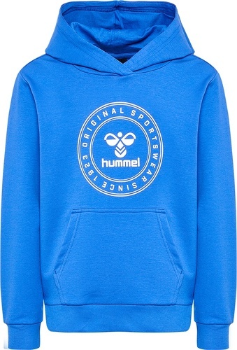 HUMMEL-hmlCUATRO CIRCLE HOODIE-2