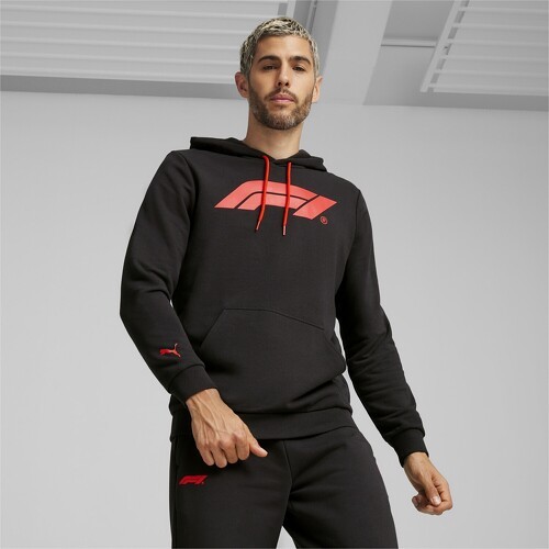 PUMA-Hoodie à logo F1® ESS+-2