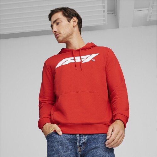 PUMA-Hoodie à logo F1® ESS+-2