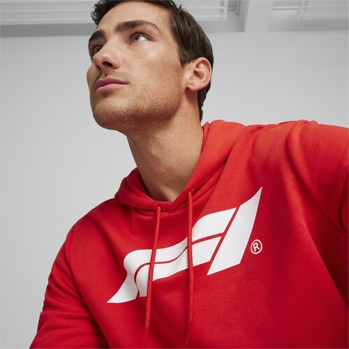 PUMA-Hoodie à logo F1® ESS+-4