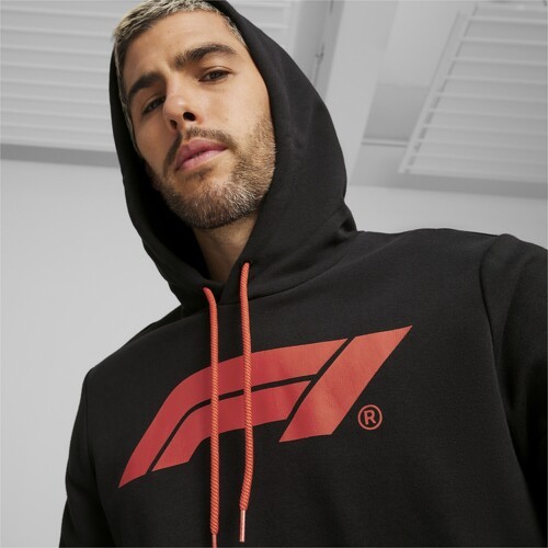 PUMA-Hoodie à logo F1® ESS+-4