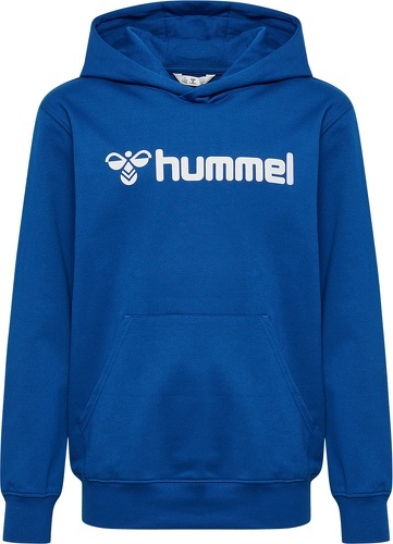 HUMMEL-HMLGO 2.0 LOGO HOODIE KIDS-2