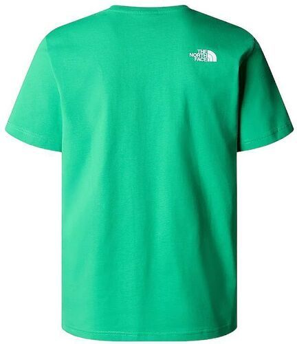 THE NORTH FACE-T-shirt Mountain Play Optic Emerald-1