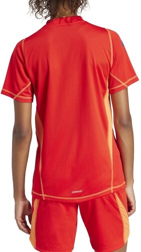 adidas Performance-Tiro 24 Pro maillot de gardien-1