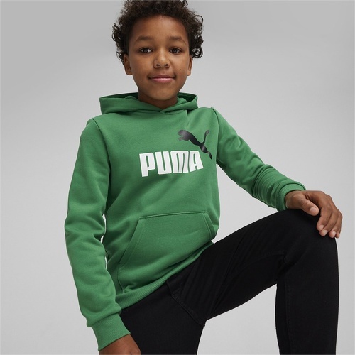 PUMA-ESS+ 2 Col Big Logo Hoodie FL B-2