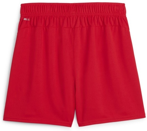 PUMA-teamGOAL Handball Shorts W-1