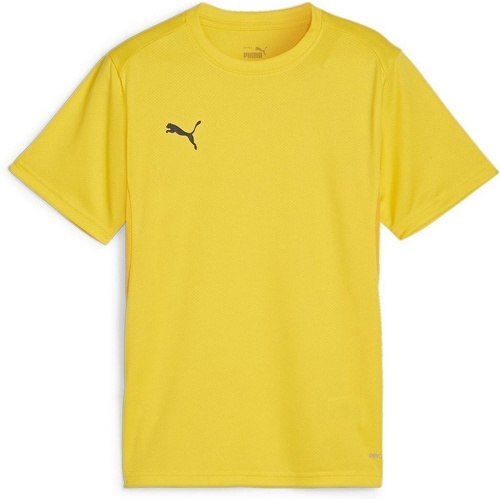 PUMA-teamGOAL Jersey Jr-0