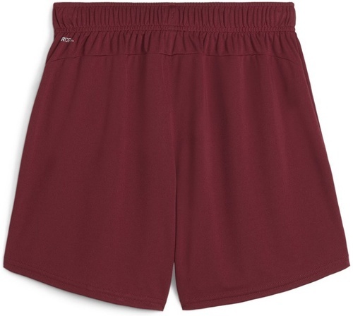 PUMA-Short femme Puma TeamGoal-1