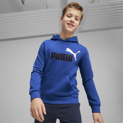 PUMA-ESS+ 2 Col Big Logo Hoodie FL B-2