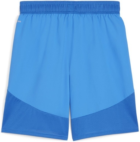 PUMA-teamFINAL Shorts-1