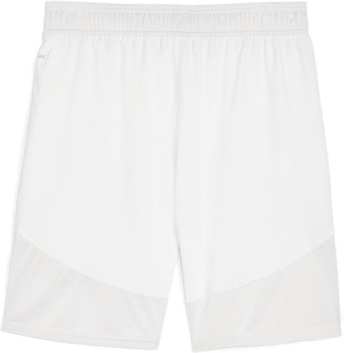 PUMA-teamFINAL Shorts-1