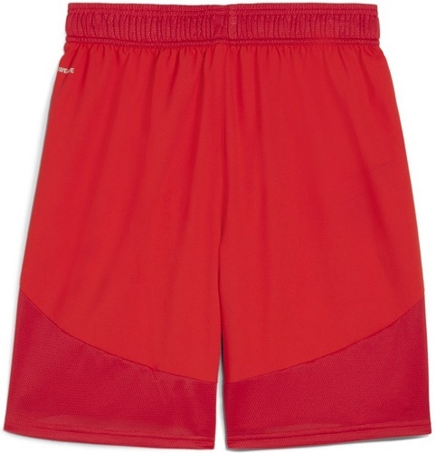 PUMA-teamFINAL Shorts-1