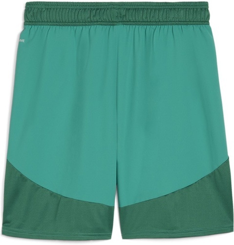 PUMA-teamFINAL Shorts-1