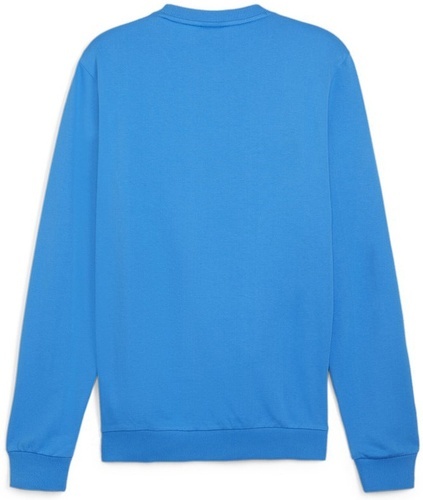 PUMA-teamGOAL Casuals Crew Neck Sweat-1