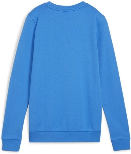 PUMA-teamGOAL Casuals Crew Neck Sweat Wmn-1