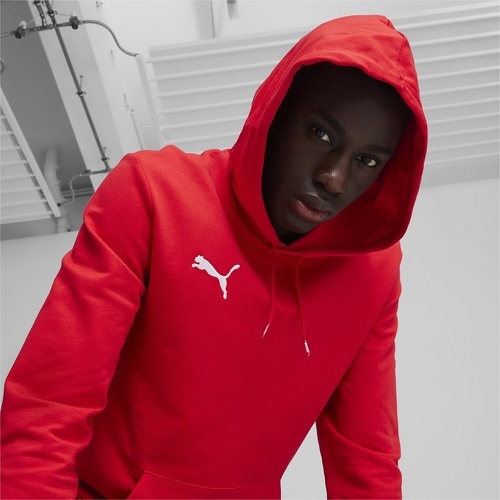 PUMA-Sweatshirt à capuche Puma Teamgoal Casuals-3