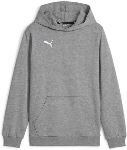 PUMA-teamGOAL Casuals Hoody Jr-0