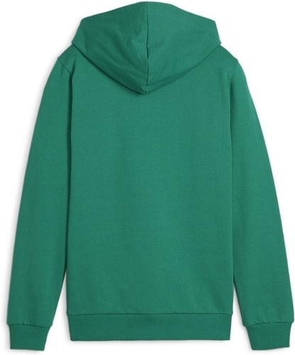 PUMA-teamGOAL Casuals Hoody Jr-1