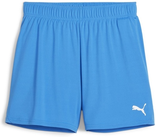 PUMA-teamGOAL Handball Shorts W-0