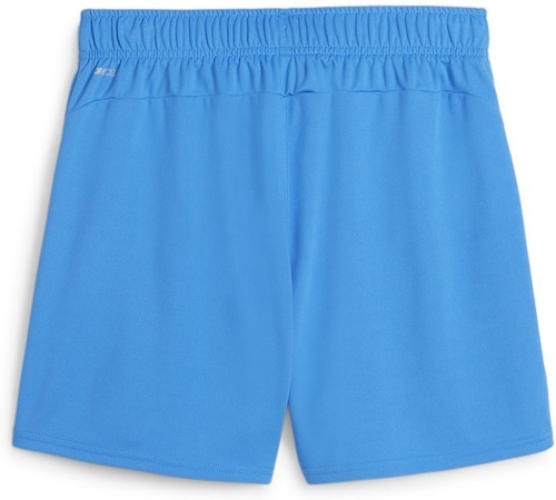 PUMA-teamGOAL Handball Shorts W-1