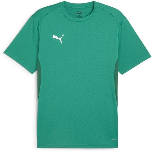 PUMA-teamGOAL  Jersey-0