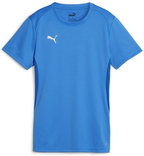 PUMA-teamGOAL Jersey Wmn-0