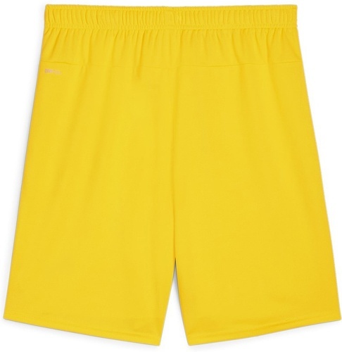 PUMA-teamGOAL Shorts-1