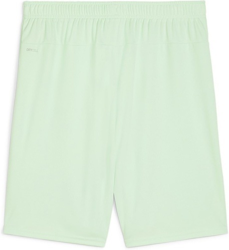 PUMA-teamGOAL Shorts-1