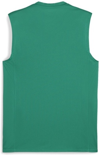 PUMA-teamGOAL Sleeveless Jersey-1