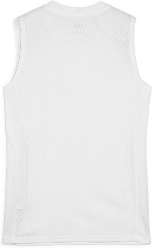 PUMA-teamGOAL Sleeveless Jersey Wmns-1