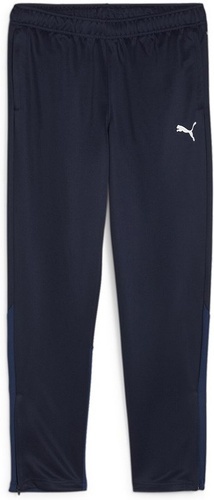 PUMA-teamGOAL Training Pant Wmn-0