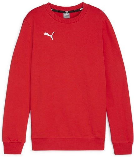 PUMA-teamGOAL Casuals Crew Neck Sweat Jr-0