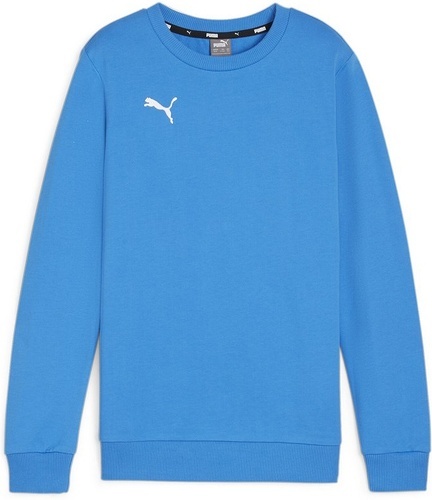 PUMA-teamGOAL Casuals Crew Neck Sweat Jr-0