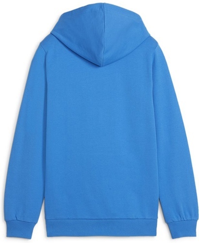 PUMA-teamGOAL Casuals Hoody Jr-1