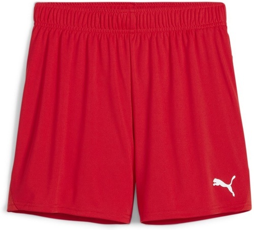 PUMA-teamGOAL Handball Shorts W-0