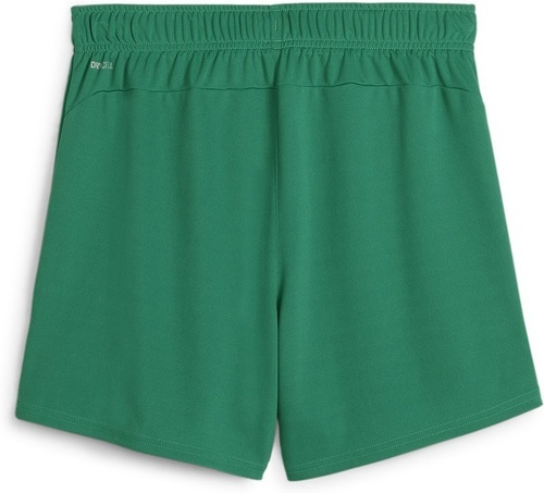 PUMA-teamGOAL Handball Shorts W-1